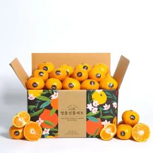 [제주직송] 산뜻하고 달콤한 제주 블랙라벨 타이벡 감귤 3kg, 4.5kg