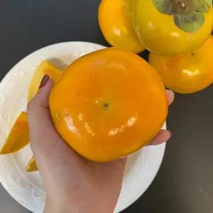 아삭 달콤 경남 부유 단감 10kg 태추단감 창원 제철과일