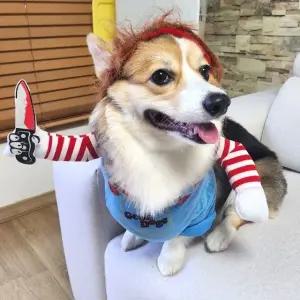 고품질 강아지 할로윈 옷 코스튬 애견 처키 M (WFFUDBQ)