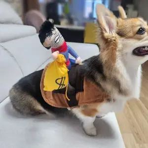 고품질 강아지 할로윈 옷 코스튬 애견 약탈범 M (WFFUDBN)