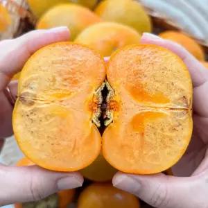 가정용 경남 햇단감 산지직송 제철단감 5kg (30과내외)