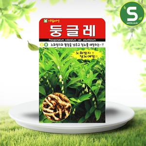 둥글레씨앗 20립 황정씨앗 약초 민속 둥글레