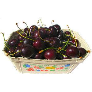 자연미가 체리 3kg(1kgx3ea)/냉동과일