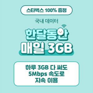 KT공식직영 에그 한달동안 매일 3GB / 포켓와이파이 에그대여 임대 / 무약정 휴대용 무선인터넷 렌탈