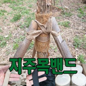 천연수목밴드바 27mmx15m 1롤씩판매 지주목밴딩바 지주목채결바 채결끈 수목바 뿌리감기