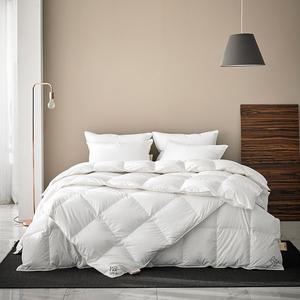 [소프라움 앤]카르 폴란드90 100수 구스다운 사계절 이불솜 싱글 (576g)