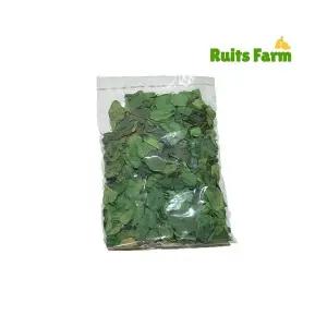 [루츠팜] 태국 건조 카피르 라임잎 200g 건라임잎 건조라임잎