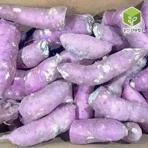 국내산 꿀밤 파 못난이고구마 10kg
