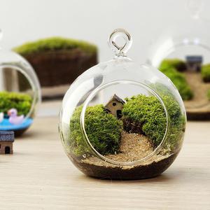 행잉플랜트 이끼 테라리움 만들기 DIY 키트