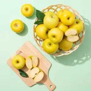 [미식한가] 새콤달콤 황금사과 시나노골드 6kg (주스용/램덤과)