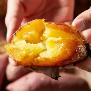 [달찐과일][윤승하님 생산] 해남 황토 꿀고구마 5kg (중상)