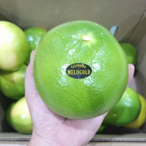 미국 메로골드 청자몽 점보 개당 550g 내외 8개