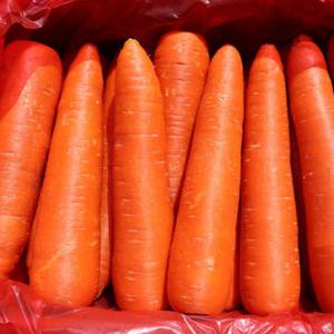 2L / 3L 신선 세척 수입 당근 주스용 라페 10kg