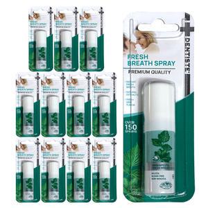 덴티스테 후레쉬 브레스 스프레이 구강청결제 15ml x12개
