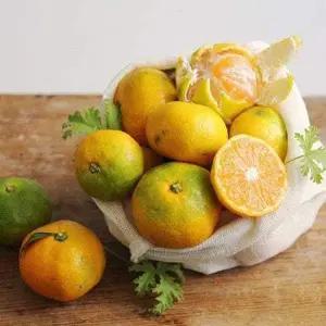 [맛군]새콤달콤 갓 수확한 제주 노지감귤 대과 4.5kg(2L)