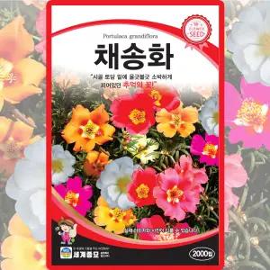 세계종묘 채송화 씨앗 2000립 채송화 꽃씨 야생화 종자