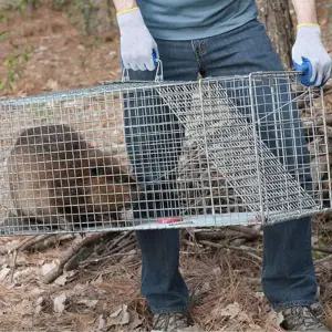 야생동물 포획틀 두더지 통덫 길고양이 안전포획틀
