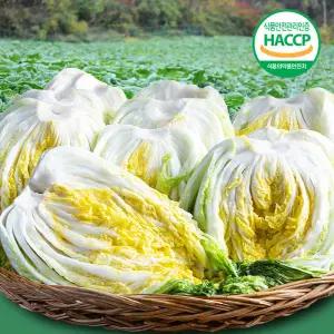 고랭지 강원도 절임배추 20kg HACCP 괴산 맛있는 절인 김장배추 절인알타리 무
