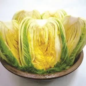 [마이산김치][예약배송] [한국농협김치] 전북대표 마이산 절임배추 10kg(4-6포기) /도착일 지정