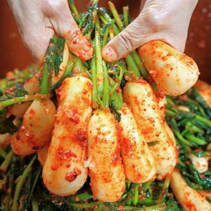 총각김치 알타리무우 무청 초롱무 전라도 김치 2kg