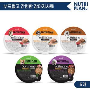 동원 뉴트리플랜 소프트뮨 습식화식 100g x 5개 맛보기세트 강아지사료 촉촉한사료 습식사료