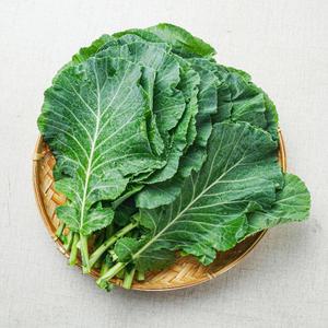 GAP인증 쌈용 케일 쌈채소 샐러드채소 1kg 2kg