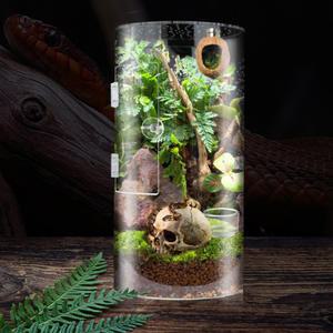 원형 사육장 도마뱀사육장 아크릴사육장 크레스티드게코 도마뱀집 곤충 거미 사육장