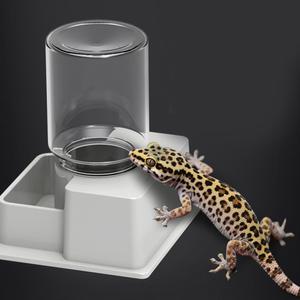 도마뱀 소형 자동 급수기 물통 파충류 크레스티드게코 물그릇