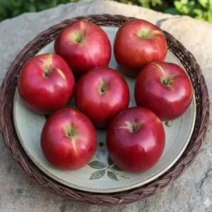 동명 달콤상큼 국산 홍옥 사과