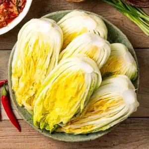 [HACCP인증] 천일염으로 절인 해남산 절임배추 10kg /KB