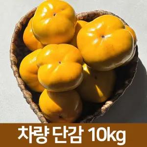 아삭하고 맛있는 차량단감 특대 10kg 전라도