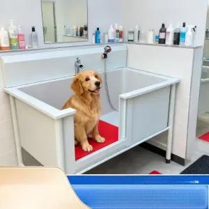 제이 강아지셀프목욕탕 반려견 펫 스파욕조 반려동물