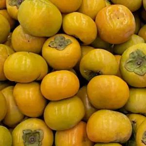 아삭달콤 햇 단감 10kg 혼합과 (40-80과내외) / 가정용