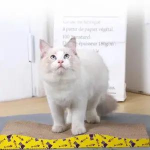 고양이 스크래쳐 반려묘 골판지 스트레스 해소 장난감 WFKXRWE