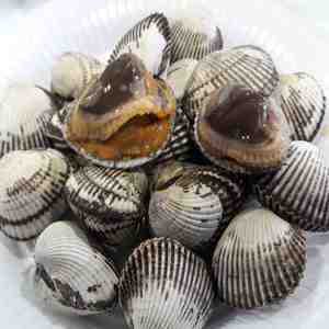 벌교새꼬막1.5kg(기본/상품)/피꼬막2kg(상품/특품)