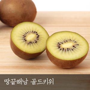 김정헌 해금 골드키위 5kg 78과 대용량