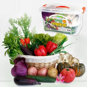 [해피타운]진짜같은 야채 모형세트