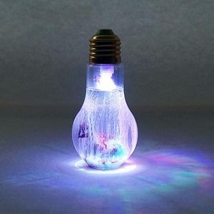 RGB 화학정원 만들기 (5인용) 학습준비물,과학교구