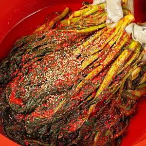 [대한민국농수산] 국내산 재료로 만든 알싸한 여수 돌산 갓김치 1/2kg