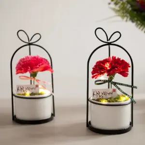 카네이션 조화 화분 LED 마더set 19cm 2컬러 꽃 어버이날 스승의날 테이블 장식 감사 선물 행사 소품