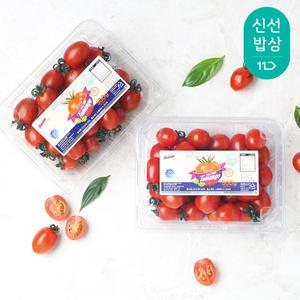 장보남 달콤한 스테비아 토마토 대추 토망고 500g+500g/총 1kg