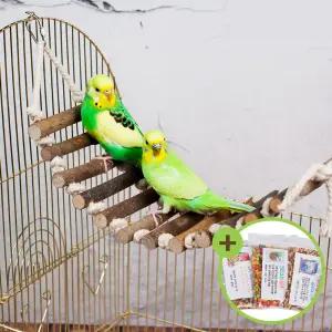 천연 원목 나무사다리 구름다리 그네 앵무새 00731