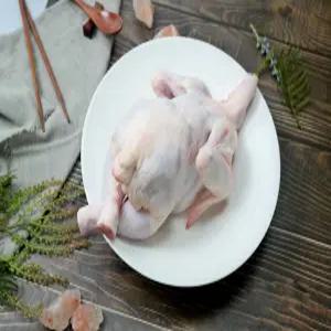 [치킨테이블] 통닭 15호 1500g or16호 냉장