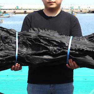 박회장제철음식 해풍다시마 500g 기장 다시마