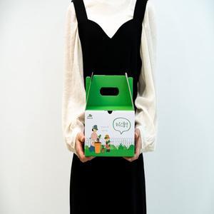 하우스품격 미니화분 강낭콩키우기 씨앗키트