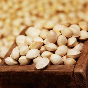 [미스터팜팜]순창 강천골 은행 피은행 1kg(중)  외피있음