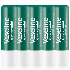 바세린 립 테라피 민트 4.8g x 5개