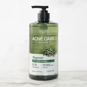 애경 샤워메이트 사철쑥 바디워시 800ml