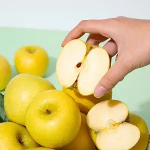 [더조은푸드]황금사과 시나노골드 주스용 랜덤과 10kg