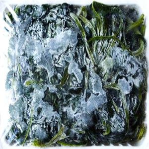 강원도 정선 냉동곤드레 곤드레나물 3kg